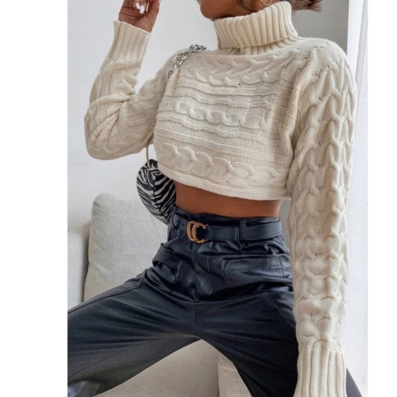 High Neck Cable Knit Crop Sweater 🐻 - Picture 3 of 7